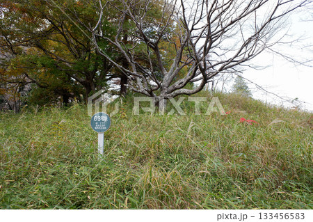 千葉県　龍角寺古墳群・63号墳 133456583