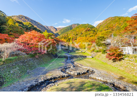紅葉の綺麗な養老公園 不動橋からの眺め(岐阜県) 紅葉の綺麗な養老公園 不動橋からの眺め(岐阜県) 133456821