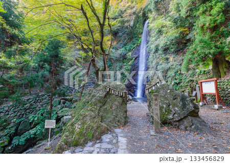 秋の養老の滝(岐阜県) 秋の養老の滝(岐阜県) 133456829