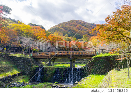 養老公園の紅葉（岐阜県） 133456836