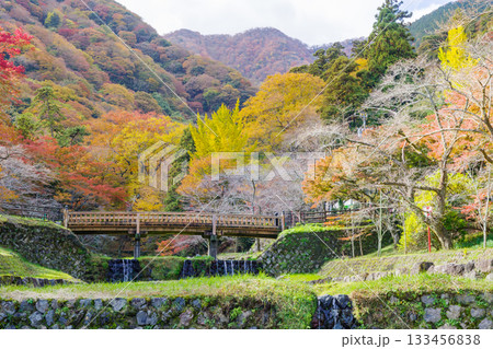 養老公園の紅葉（岐阜県） 133456838