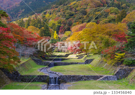 養老公園の紅葉(岐阜県) 養老公園の紅葉(岐阜県) 133456840