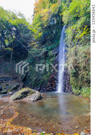 秋の養老の滝(岐阜県) 秋の養老の滝(岐阜県) 133456843
