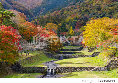 紅葉の綺麗な養老公園（岐阜県） 133456844
