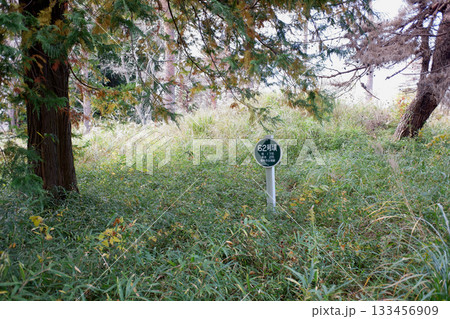千葉県　龍角寺古墳群・62号墳 133456909