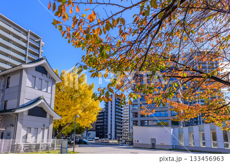 仙台　西公園通 秋 133456963