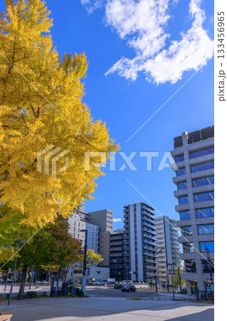 仙台　西公園通 秋 133456965