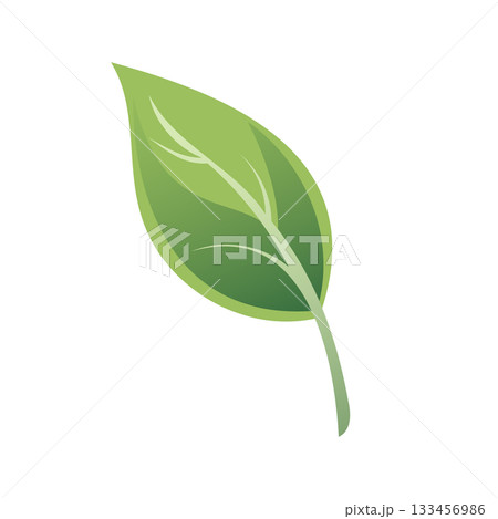 Green leaf illustration with detailed texture and vibrant color for nature themed design 133456986