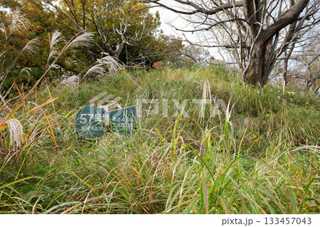 千葉県　龍角寺古墳群・57号墳 133457043