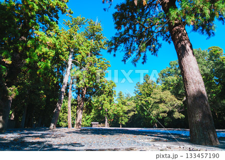 伊勢神宮外宮の風景 133457190