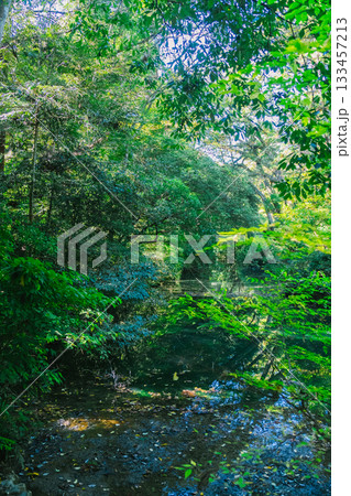 伊勢神宮外宮の風景 133457213