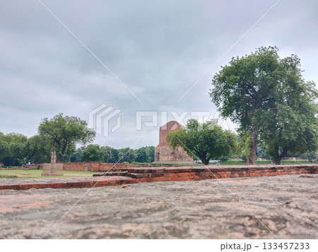 Sarnath stupa and his ruined monasteries Sarnath stupa and his ruined monasteries 133457233