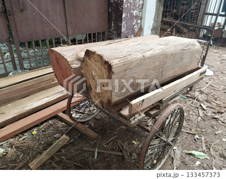 two parts of huge trunk loaded on wooden trolley for moving in lumbar yard for making planks two parts of huge trunk loaded on wooden trolley for moving in lumbar yard for making planks 133457373