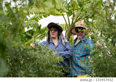 Two friends, part of the LGBTQ community, are harvesting chili peppers in a garden. Both are wearing casual outdoor attire, enjoying the gardening activity together in a vibrant, green environment. 133457432