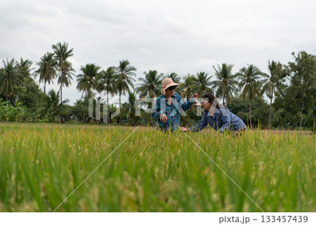 Two LGBTQ friends walking through a lush rice field in Thailand. They are dressed casually in plaid shirts, exploring the rice crop together, sharing a moment of connection. Two LGBTQ friends walking through a lush rice field in Thailand. They are dressed casually in plaid shirts, exploring the rice crop together, sharing a moment of connection. 133457439