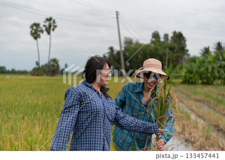 Two LGBTQ friends walking through a rice field in Thailand, casually dressed in plaid shirts. They share a moment of connection while exploring the rice crop, surrounded by the lush greenery Two LGBTQ friends walking through a rice field in Thailand, casually dressed in plaid shirts. They share a moment of connection while exploring the rice crop, surrounded by the lush greenery 133457441