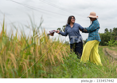 Two LGBTQ friends enjoying a moment in a rice field in Thailand. They are dressed casually in plaid shirts and light pants, laughing and sharing the experience of exploring the rice harvest together. 133457442