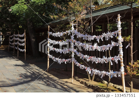 おみくじ結び 133457551