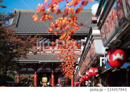 東京・浅草 秋の浅草寺 東京・浅草 秋の浅草寺 133457943
