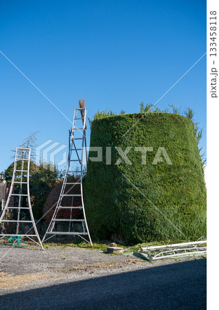 Japanese Gardener 133458118