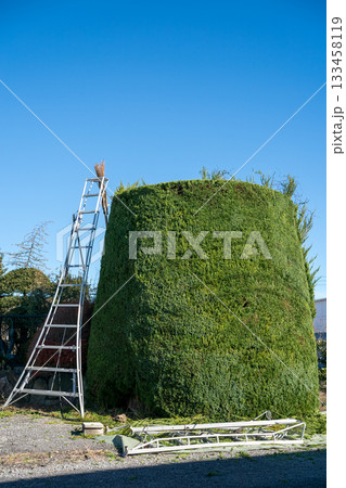 Japanese Gardener Japanese Gardener 133458119