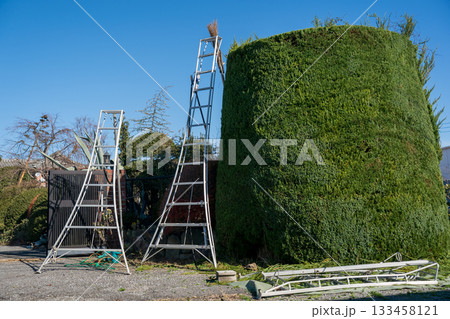 Japanese Gardener Japanese Gardener 133458121