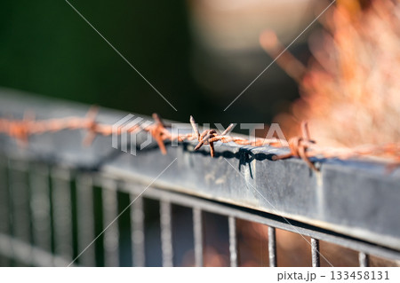 Japanese Gardener 133458131