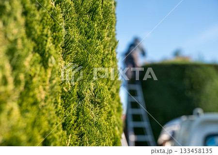 Japanese Gardener Japanese Gardener 133458135