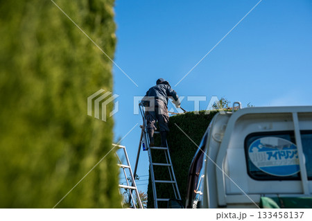 Japanese Gardener 133458137