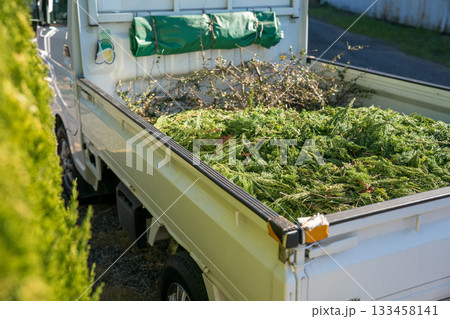 Japanese Gardener Japanese Gardener 133458141