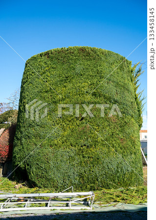 Japanese Gardener Japanese Gardener 133458145