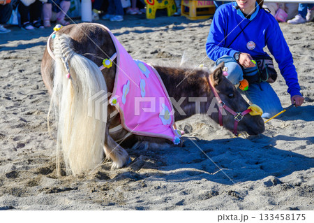 東京都江戸川区 篠崎ポニーランド 50周年祭ポニフェス おはぎのパフォーマンス 東京都江戸川区 篠崎ポニーランド 50周年祭ポニフェス おはぎのパフォーマンス 133458175