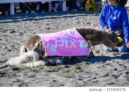 東京都江戸川区　篠崎ポニーランド　50周年祭ポニフェス　おはぎのパフォーマンス 133458176