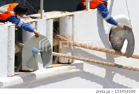 停泊中のクルーズ客船：舫い綱へのラットガードの取り付け 133458380