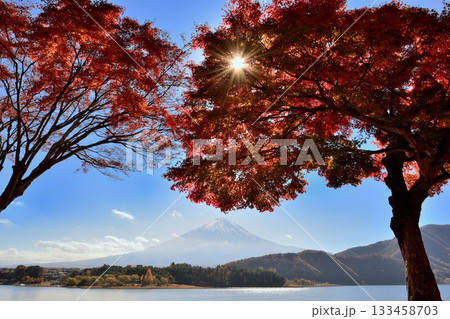 河口湖の紅葉と富士山 133458703