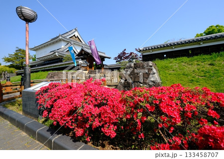 春の花咲く勝竜寺城公園 133458707