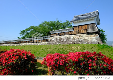 春の花咲く勝竜寺城公園 133458708