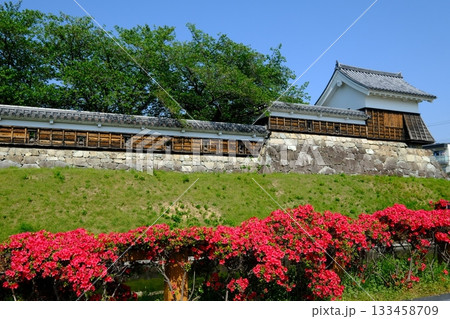 春の花咲く勝竜寺城公園 春の花咲く勝竜寺城公園 133458709