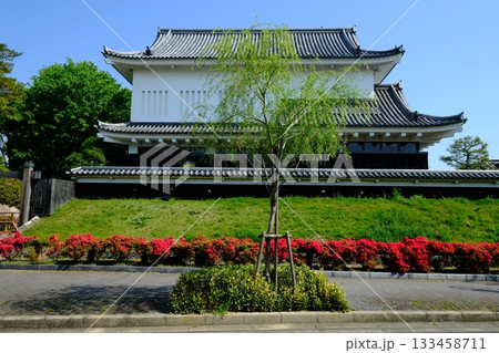 春の花咲く勝竜寺城公園 133458711