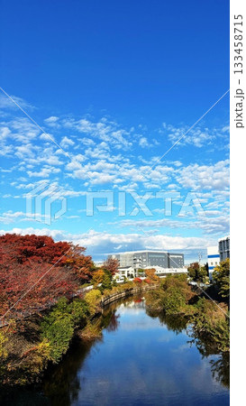 秋晴れの空と水面に映る雲、美しい紅葉の河川風景 秋晴れの空と水面に映る雲、美しい紅葉の河川風景 133458715