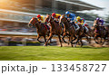競馬 133458727