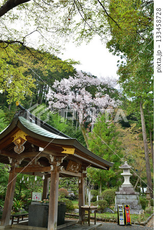 高麗神社 手水舎 満開の季節 埼玉県日高市 高麗神社 手水舎 満開の季節 埼玉県日高市 133458728