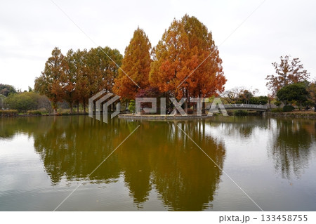 埼玉県　上尾丸山公園 133458755