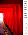 赤い鳥居 133458931