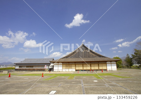 篠山城跡の大書院/日本遺産/日本100名城 篠山城跡の大書院/日本遺産/日本100名城 133459226