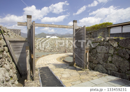 篠山城跡の大書院の入り口にある「鉄門（くろがねもん）」/日本遺産/日本100名城 133459231