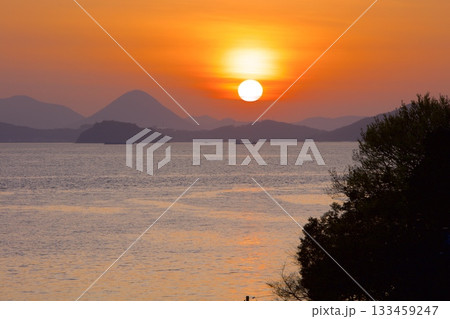フラワーパーク浦島より見る瀬戸内の朝陽 フラワーパーク浦島より見る瀬戸内の朝陽 133459247