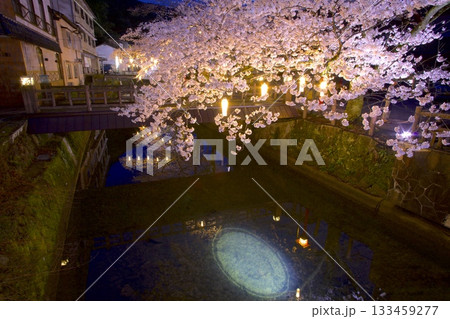 城崎温泉・木屋町通りの夜桜 城崎温泉・木屋町通りの夜桜 133459277