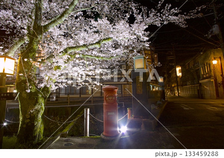 城崎温泉・月見橋と夜桜 133459288