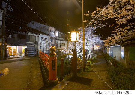城崎温泉・薬師橋と夜桜 133459290